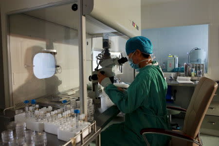 A technician works at an IVF lab in Zhengzhou, Henan province, August 29, 2012. REUTERS/Stringer