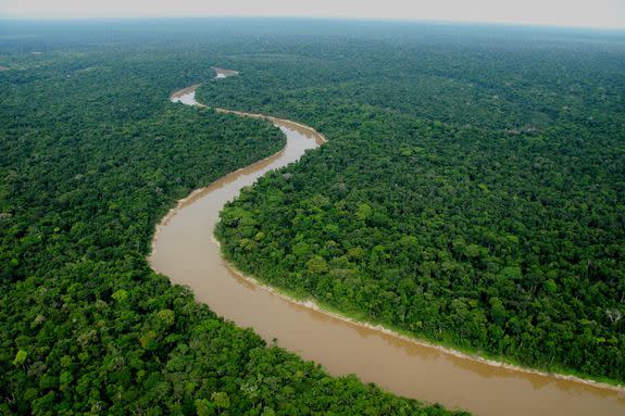 The Yaguas River flowing through Yaguas National Park.