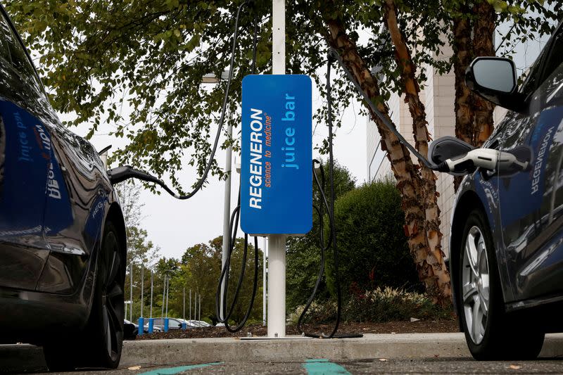 FILE PHOTO: An electric car charging station is seen at the Regeneron Pharmaceuticals company's Westchester campus in Tarrytown, New York