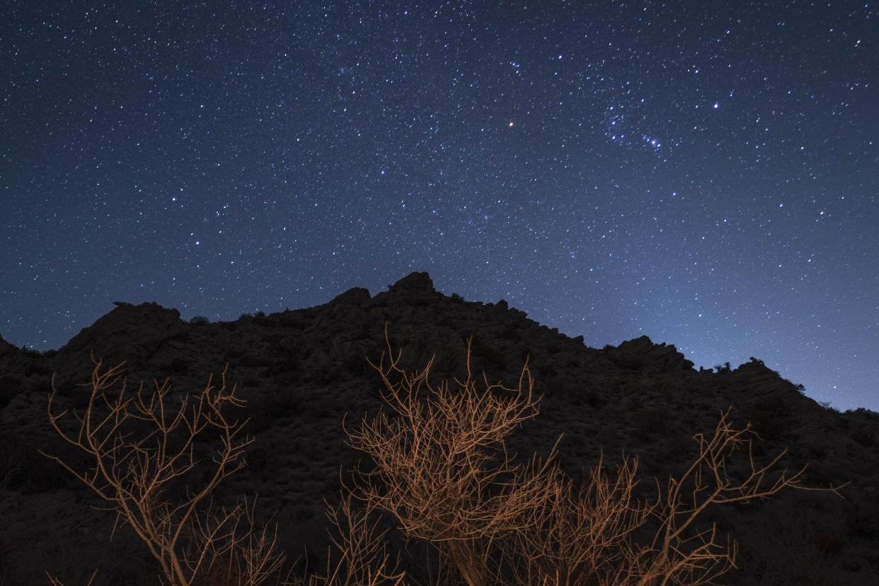 A vast array of stars in the night sky in the Spirit Mountain Wilderness.