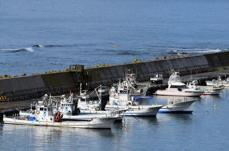 Fishing boats are seen at a port in Erimo Town, on Japan's northern island of Hokkaido, October 12, 2017. Picture taken October 12, 2017. REUTERS/Malcolm Foster