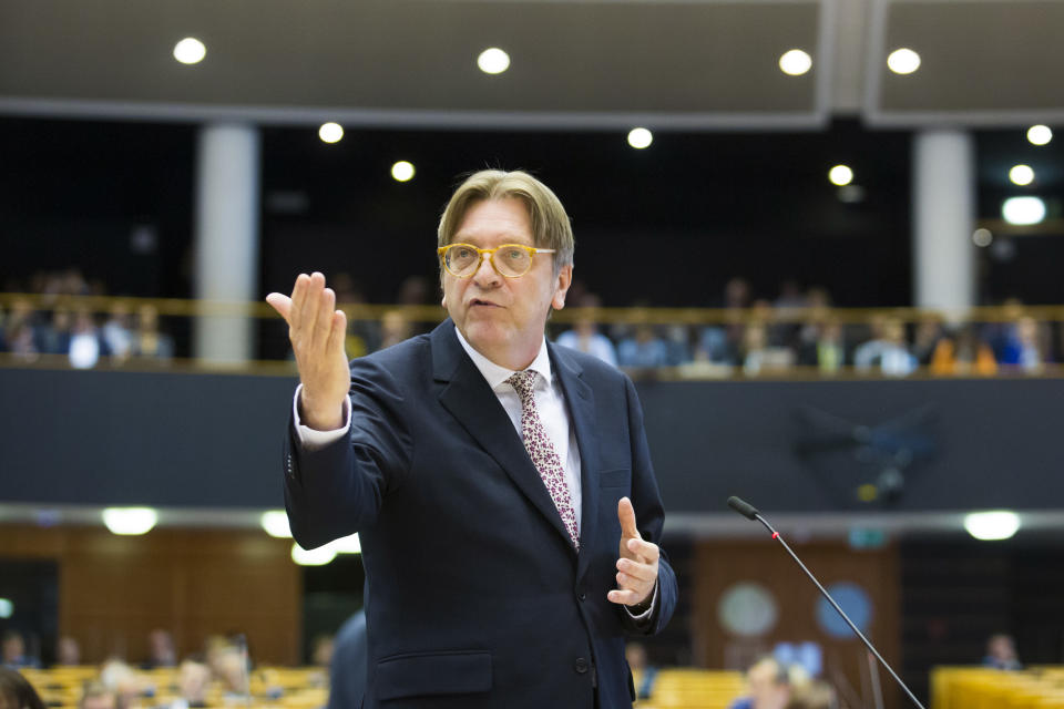 Former Belgian Prime Minister and liberal MEP Guy Verhoftstadt (European Parliament)