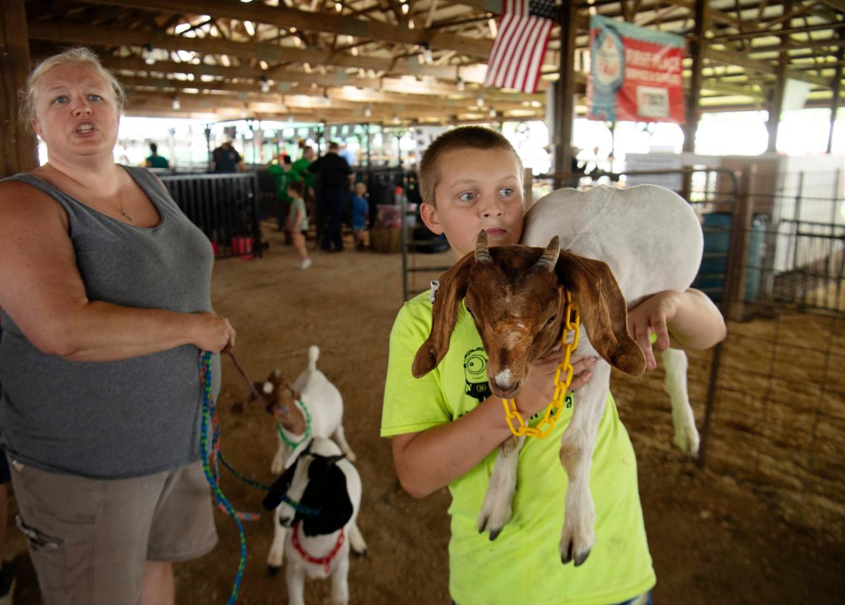 Five things to know before you visit the Warrick County Fair