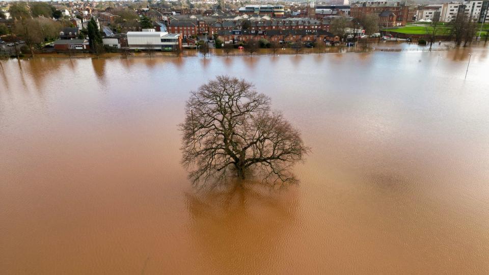 A solitary tree stands above flood water in Worcester after the River Severn burst its banks during Storm Henk (Getty Images)