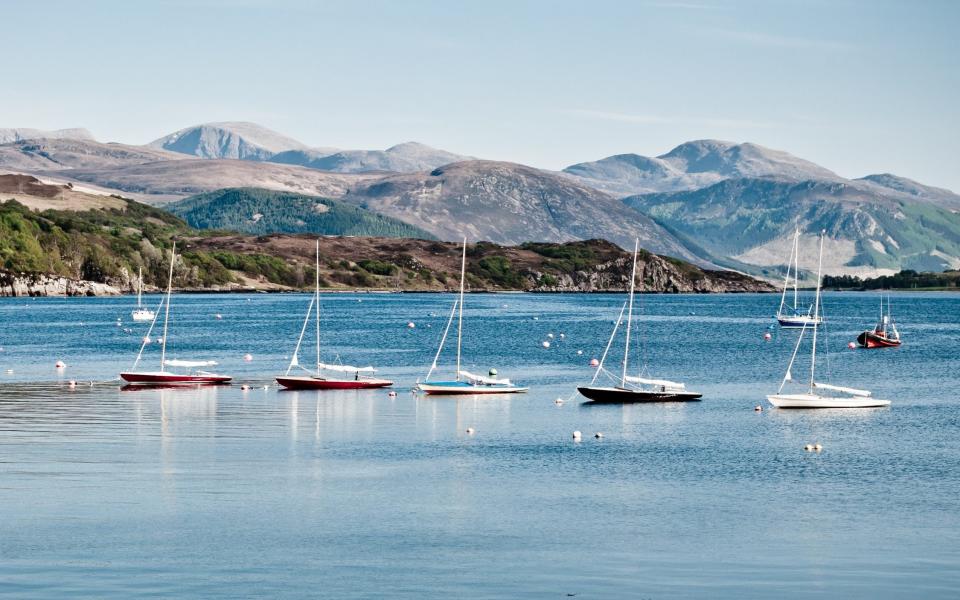 ullapool scotland cruise wildlife - Getty