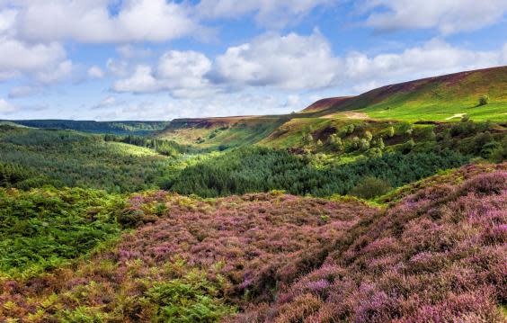 The wild landscape of the North York Moors (Getty Images/iStockphoto)