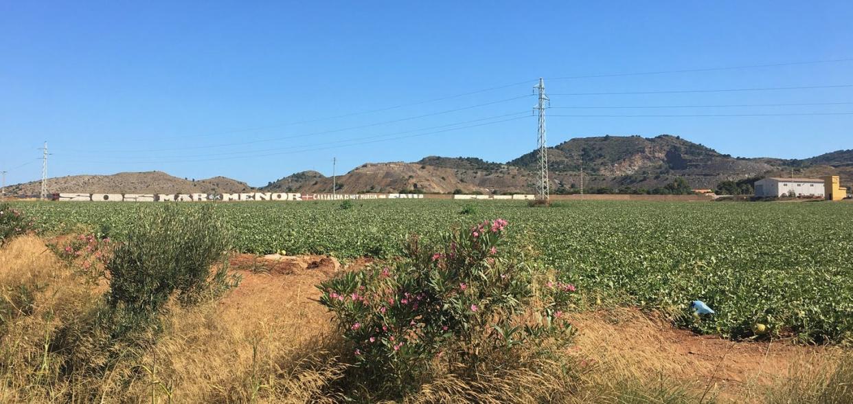 Paisaje en el entorno del Mar Menor donde conviven la protesta social, el turismo, la agricultura intensiva y la búsqueda de soluciones, por ejemplo, setos para la retención de escorrentías y fomento de la biodiversidad. Aitana Lotte de Vente Boix, Author provided