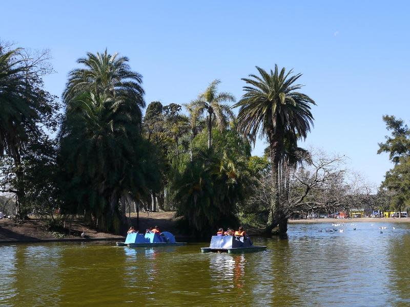 Ein paar Tretboote fahren auf einem Gewässer in der Parkanlage Bosques de Palermo - hier finden Touristen ein wenig Ruhe in der Hektik der Großstadt. Foto: Lena Klimkeit