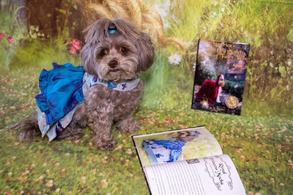 Mocha poses in her princess dress next to her page in America's Next Top Dog Model's finalist book.