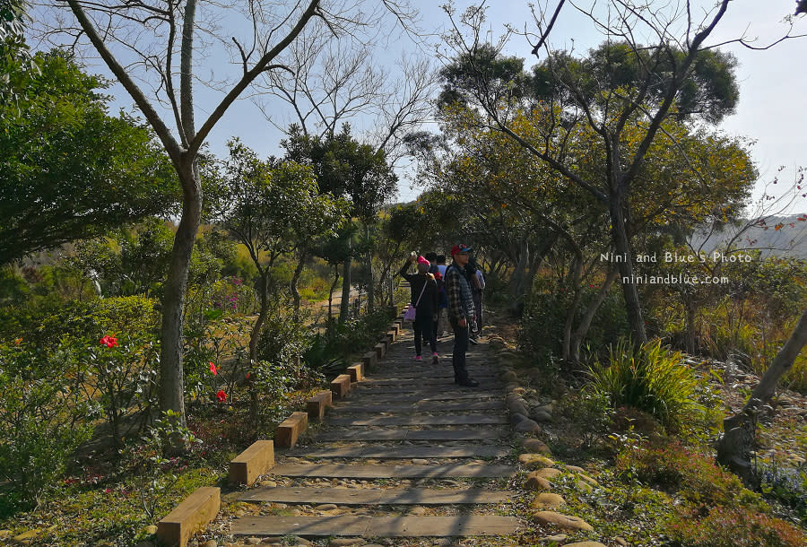 台中竹坑南寮登山步道15