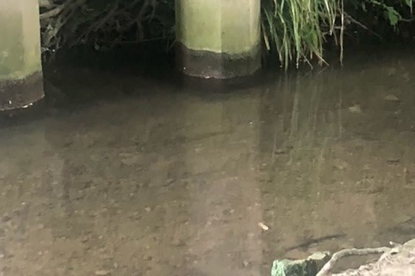 Evidence of river level dropping under the bridge at Draycott