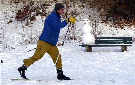 A man skis past a snowman on a bench in High Park in Toronto, January 7, 2014. REUTERS/Aaron Harris