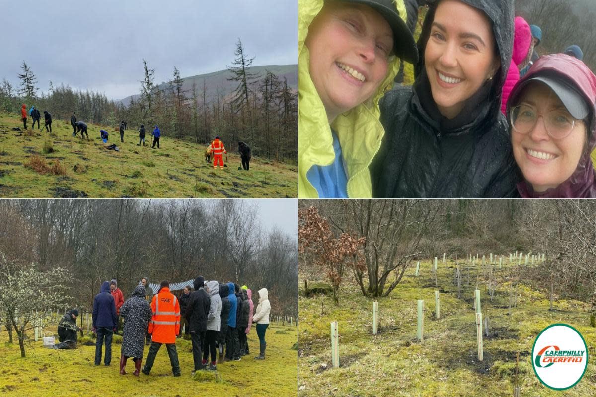 More than 120 volunteers joined in with the tree planting <i>(Image: Caerphilly County Borough Council)</i>