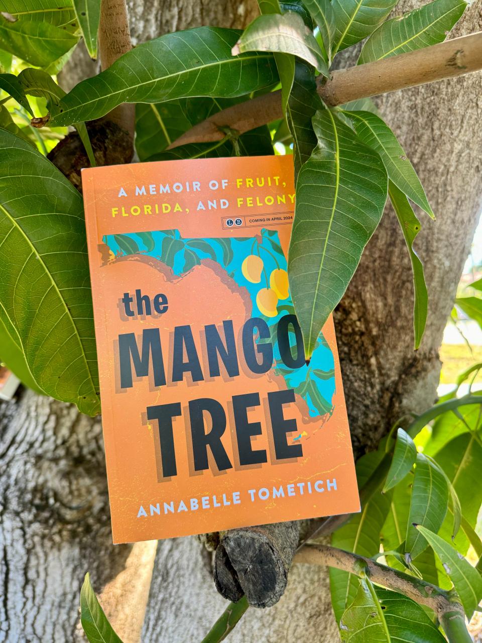 The memoir "The Mango Tree" was written by Annabelle Tometich, former food-and-dining writer for The News-Press and Naples Daily News.