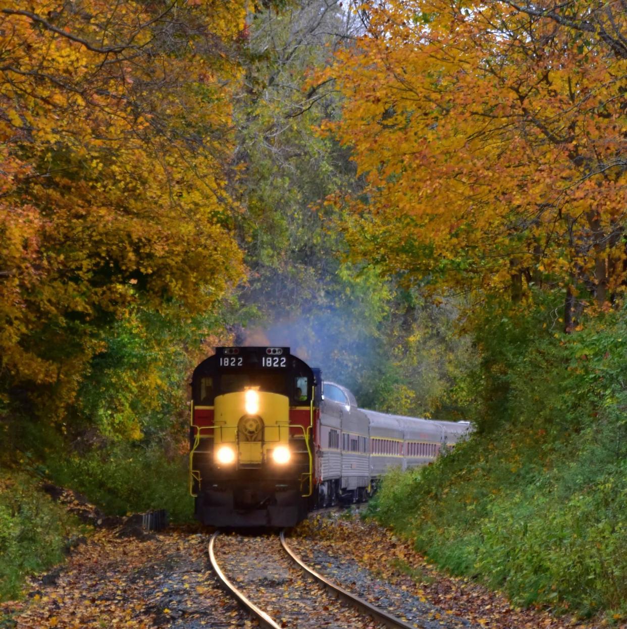 The Cuyahoga Valley Scenic Railroad has suspended its public runs this weekend because of erosion issues along some of its tracks.