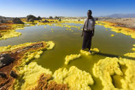 <p>A local stands in the yellow landscape. (Photo: Francesco Pandolfo/Caters News) </p>