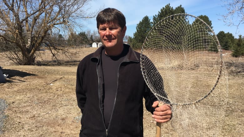 Devoted animal lover rescues snowy owl, sends it off for rehab