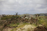 <p>Downed trees down are seen in an area devastated by Hurricane Matthew in the outskirts of Port Salut, Haiti, October 7, 2016. (REUTERS/Andres Martinez Casares)</p>