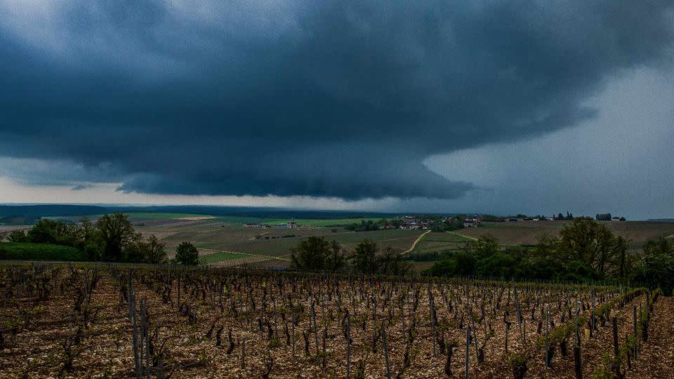 The powerful supercell storm hit the Chablis region on May 1 destroyed vineyards in a matter of minutes. - Jérémy Faillat