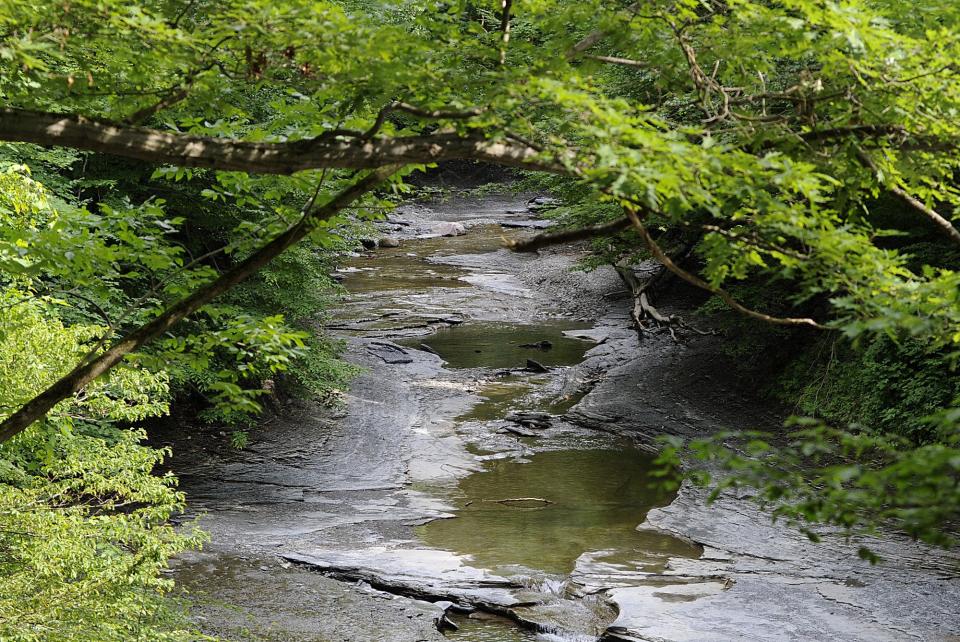 This portion of the Wintergreen Gorge is accessible from the hiking trail at Penn State Behrend. The gorge was photographed on June 19, 2011.