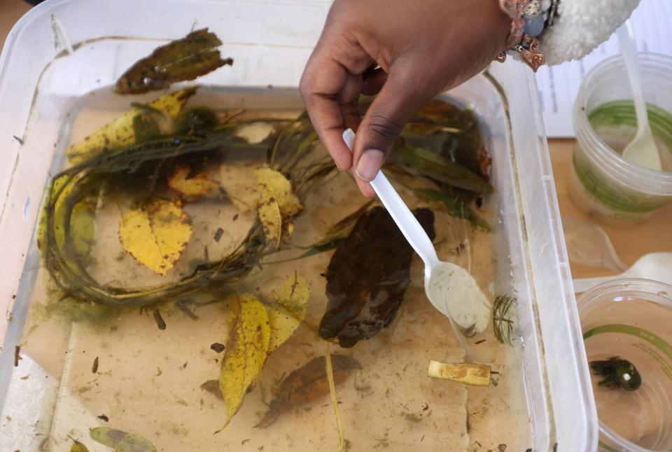 Fifth-graders from the Rochester City School District collect a variety of live specimens from water taken from the Genesee River. The students took a ride on the river as part of their science curriculum. All 5th-graders in the district will get the opportunity to have the science class during the school year. There will be more classes doing the science cruise in the spring.