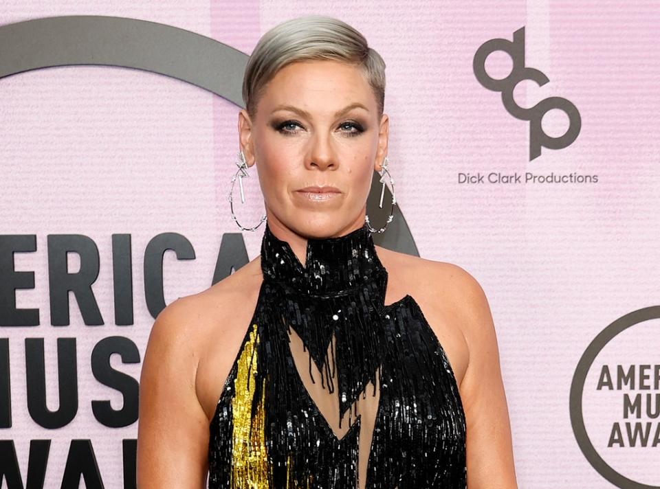 Pink, 2022 American Music Awards