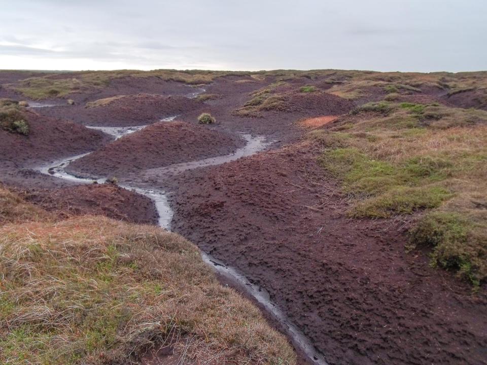 A view of eroded peat with bare earth and a small stream of water running through it