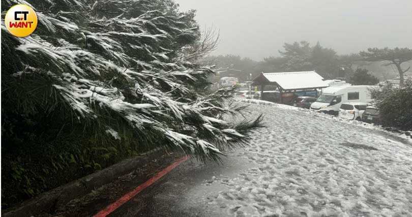 陽明山降雪。（圖／方萬民攝）