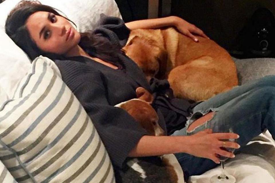 'My loves': Meghan Markle with her rescue dogs Bogart and Guy: Meghan Markle / Instagram