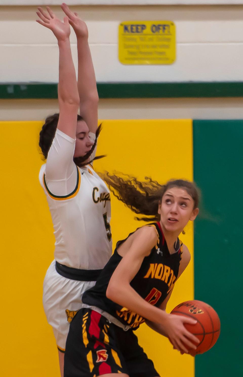 Blackhawk's Quinn Borroni tries to block North Catholic's Kaitlyn Tavella during their game Saturday at Blackhawk High Scholl. [Lucy Schaly/For BCT]