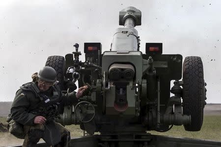 Ukraine's voluntary militia called the Azov Battalion holds artillery training in east Ukraine's village of Urzuf that sits west of the port city of Mariupol on the Azov Sea, March 19, 2015. REUTERS/Marko Djurica