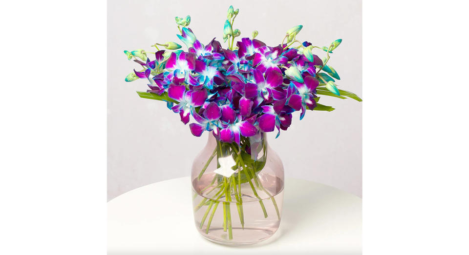 An exciting alternative to traditional flowers, this bunch of orchids will arrive with 10 stems. 