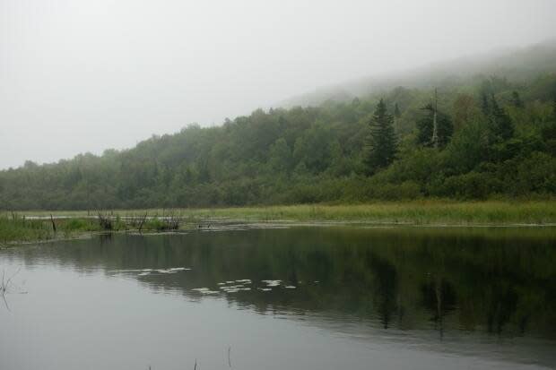 Nature Conservancy of Canada/Submitted