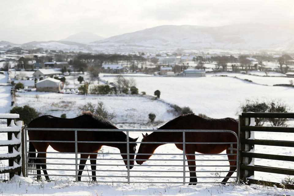 In pictures: Snow blankets Britain