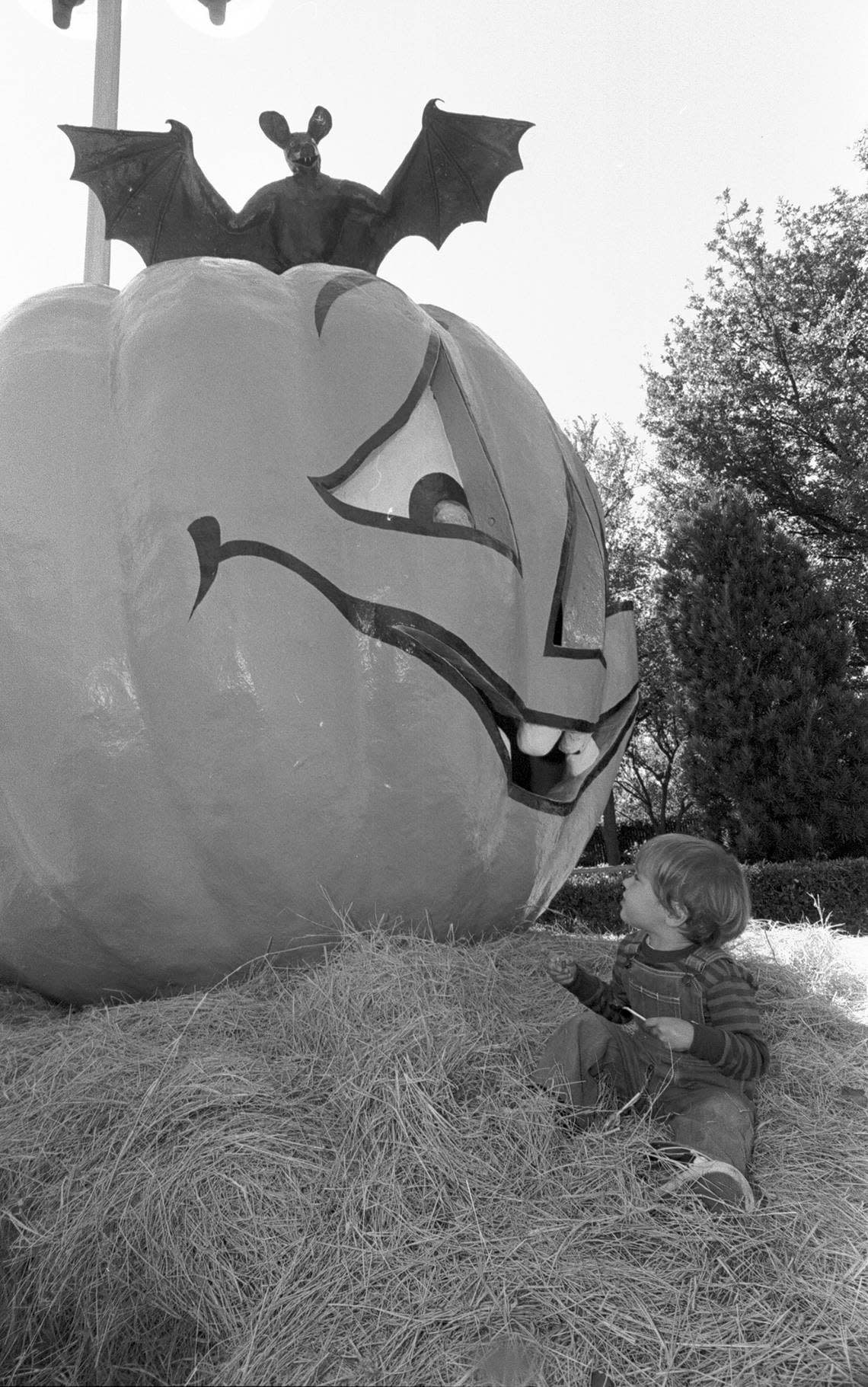 1980: At Six Flags Over Texas in Arlington, 2-year-old John Uptmoor sits with a giant jack-o’-lantern during Halloween.