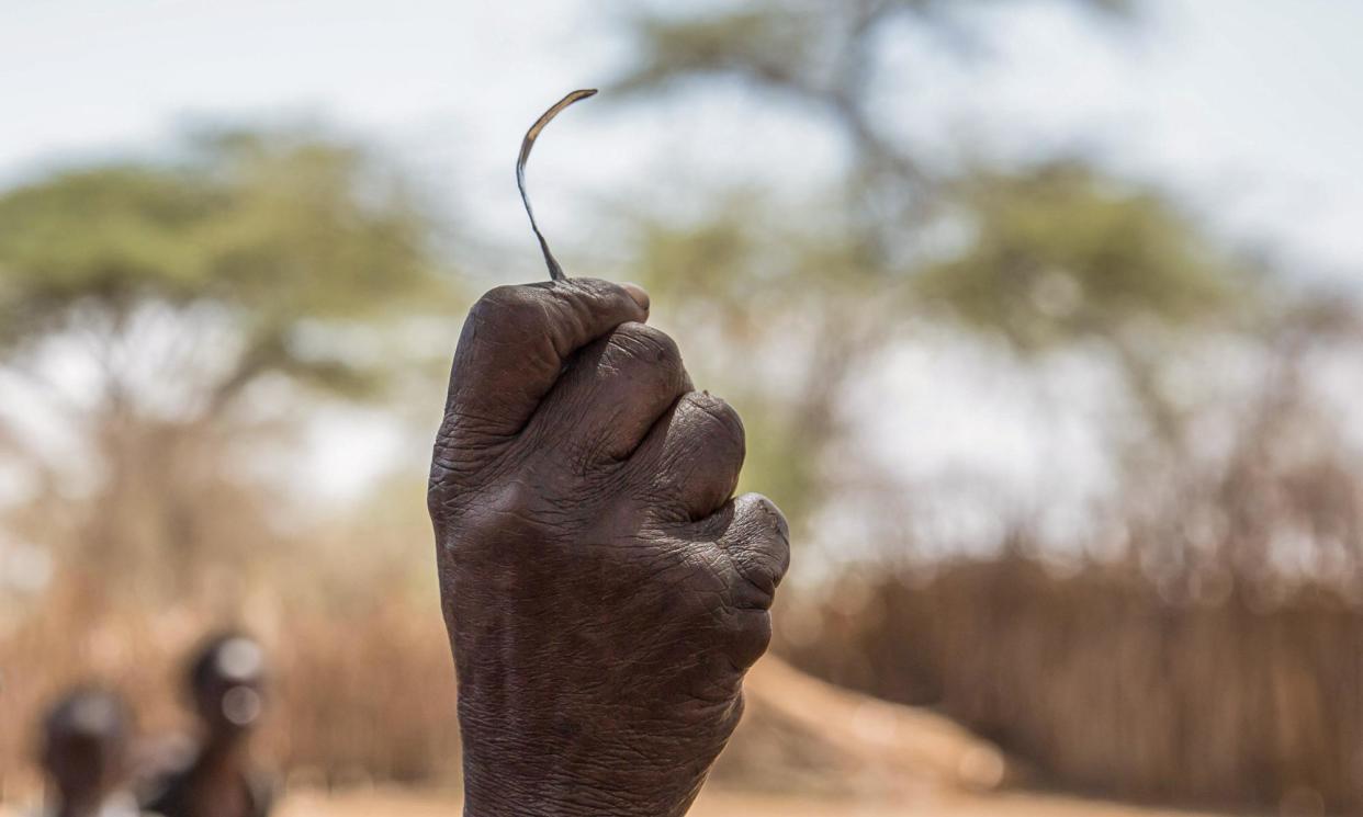 <span>Many African countries have experienced a steady decline in FGM over the past few decades, but still about 60% of cases take place on the continent.</span><span>Photograph: SOPA Images Limited/Alamy</span>