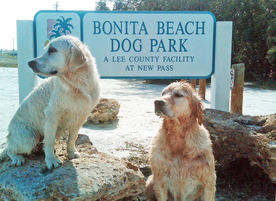 Don’t keep your dog begging for a new experience; bring your pet out to Lee County Parks & Recreation’s only off-leash beach dog park. 