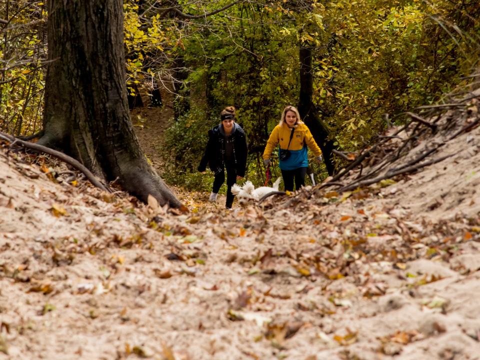 indiana sand dunes fall