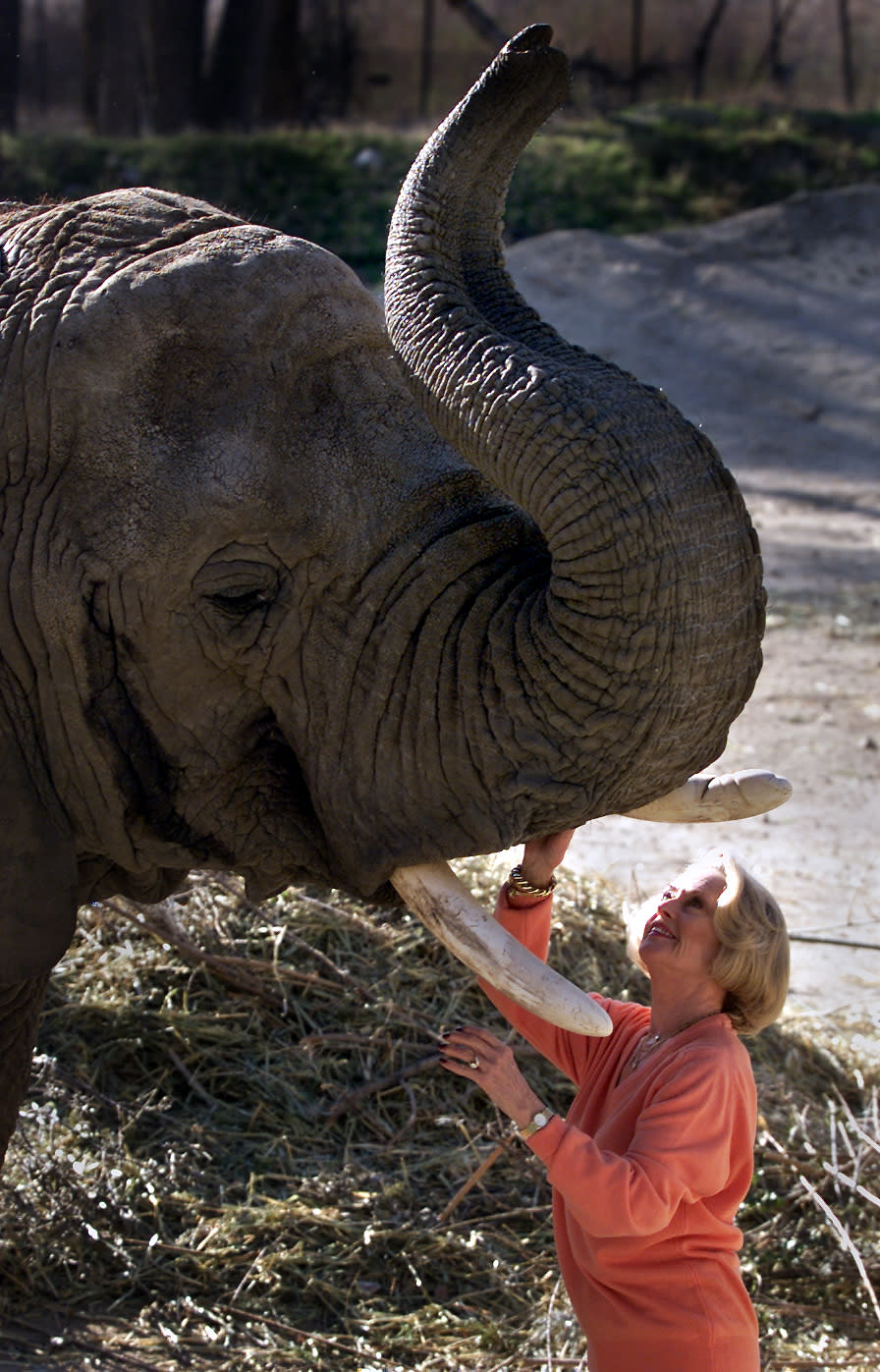 No hay una especie a la que la intérprete no haya querido ayudar. En 1990 fue captada dando la bienvenida a Timbo, un elefante de 45 años que fue acogido en Shambala. (Foto: Myung J. Chun / Getty Images)