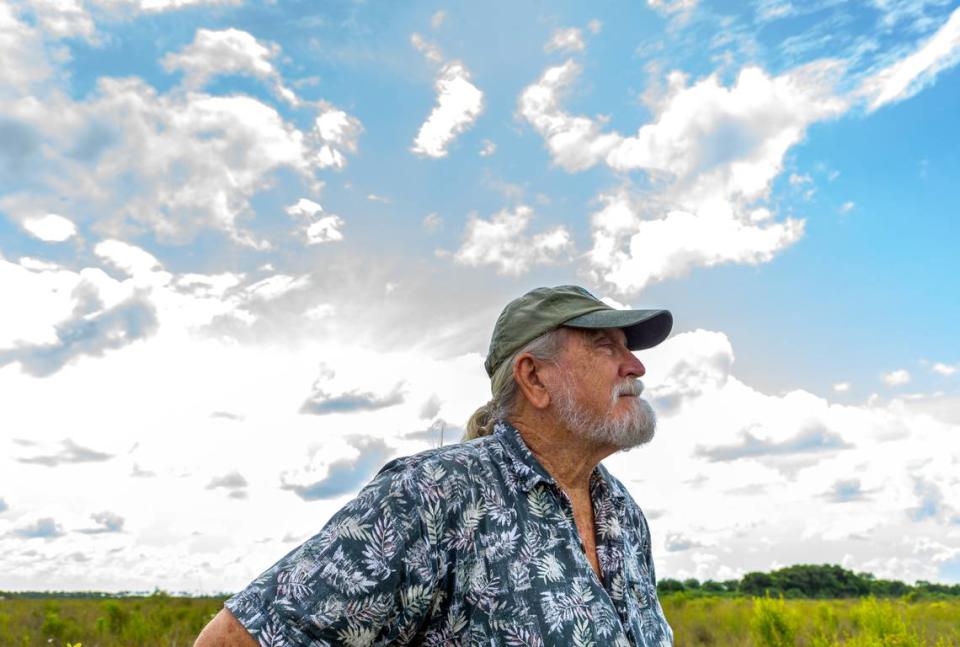 As he overlooks the fields and wetlands in the Everglades National Park, he reminisces about the time he rediscovered Cyrtopodium punctatum in 1988. The rare plant with the common name of Cowhorn Orchid was ultimately toppled by Hurricane Wilma in 2005. It was depleted due to overcollection and habitat destruction but is now a state-listed endangered species.