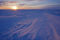 <b>Frozen Planet, BBC One, Wed, 9pm</b><br><b> Episode 2</b><br><br>The first sun sun rise of the year in the High Arctic archipelago of Svalbard is on February the 15th or 16th. It has been beneath the horizon for several months. The sun’s return marks the beginning of spring and brings with it warmth and light that makes life possible for many migrating species. However, temperatures still average around -20 at this time.