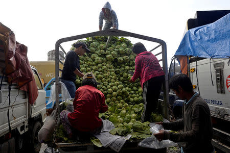 Workers unload cabbage from a truck at a vegetable market a day after Typhoon Haima hit La Trinidad, Benguet province, Philippines October 21, 2016. REUTERS/Ezra Acayan