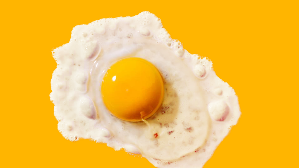 fried egg on orange background