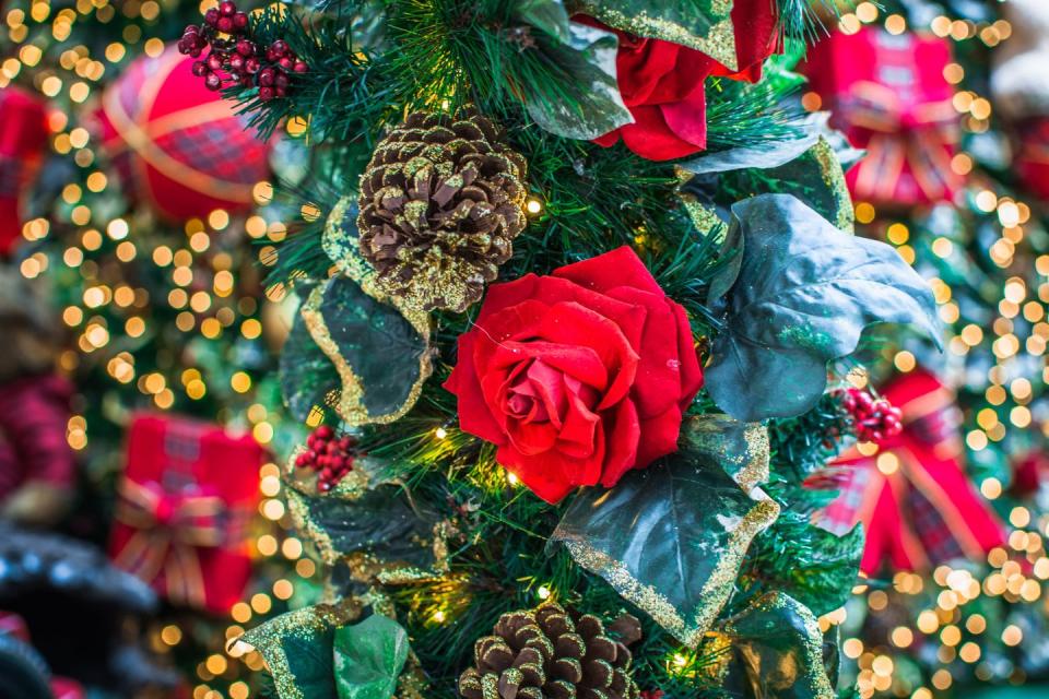 <p>You definitely can't go wrong with a classic arrangement of deep red roses, finished off with a festive touch of eucalyptus and gold-dusted leaves. Thanks to their rich, soft leaves, they are another flower perfect to bring inside over the holidays. </p><p><a class="link " href="https://www.serenataflowers.com/en/uk/flowers/next-day-delivery/product/110137" rel="nofollow noopener" target="_blank" data-ylk="slk:BUY NOW, £39.99;elm:context_link;itc:0;sec:content-canvas">BUY NOW, £39.99 </a></p>