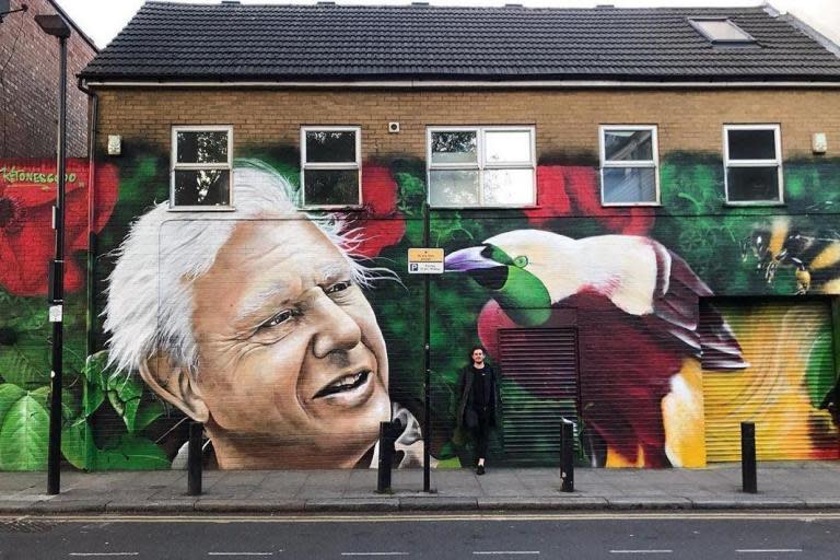 Artist behind viral David Attenborough mural in east London surprised by 'massive' response