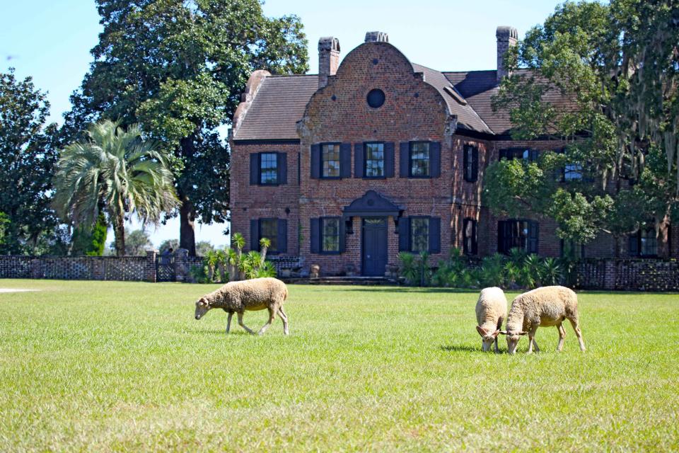 The 6 Best Historic Homes to Visit Near Charleston