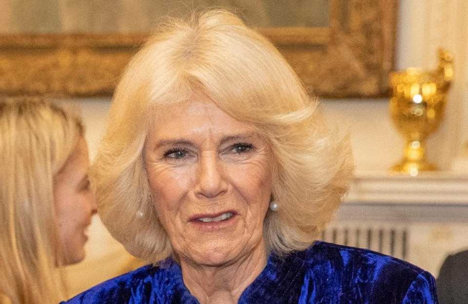 7. Camilla, Queen Consort