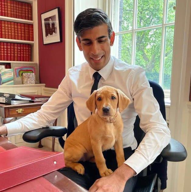 Rishi Sunak, and his dog, Nova