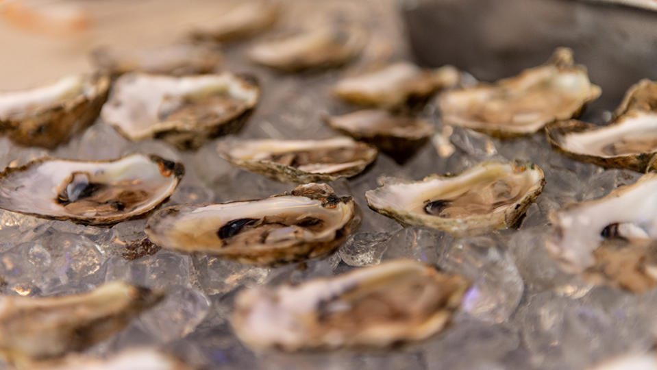 Oysters from King Street Oyster Bar - Credit: Richard Kessler/Citi Open