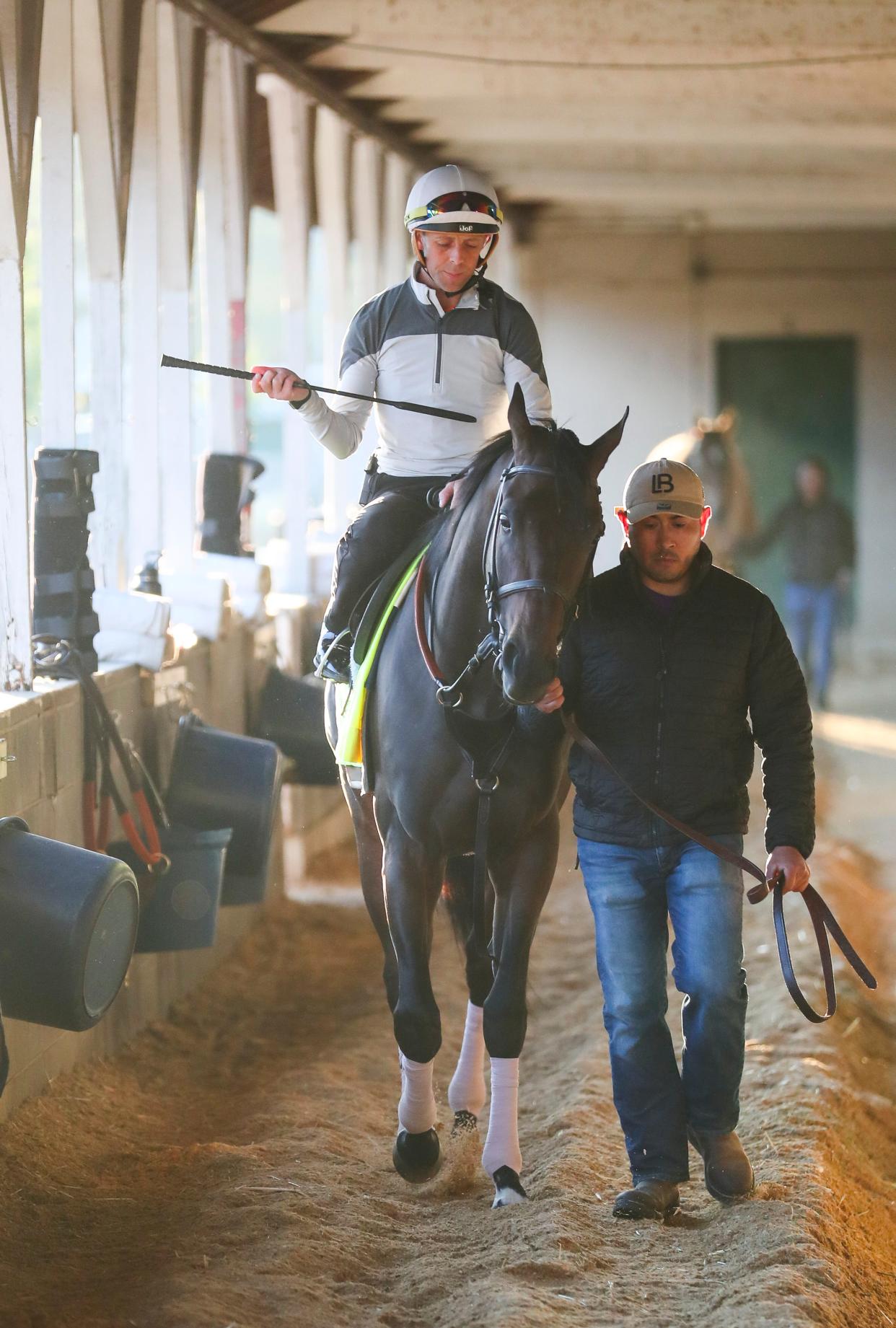 Kentucky Derby 150 contender Honor Marie is walked around the barn with jockey Ben Curtis during his first workout with the colt at Churchill Downs on April 25. Honor Marie has five owners: Ribble Farms, Michael Eiserman, Earl Silver, Kenneth Fishbein and Dave Fishbein.